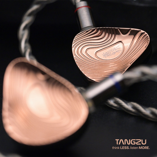 Tangzu Xuanwu Gate 1DD+4BA+2EST Tribrid IEM